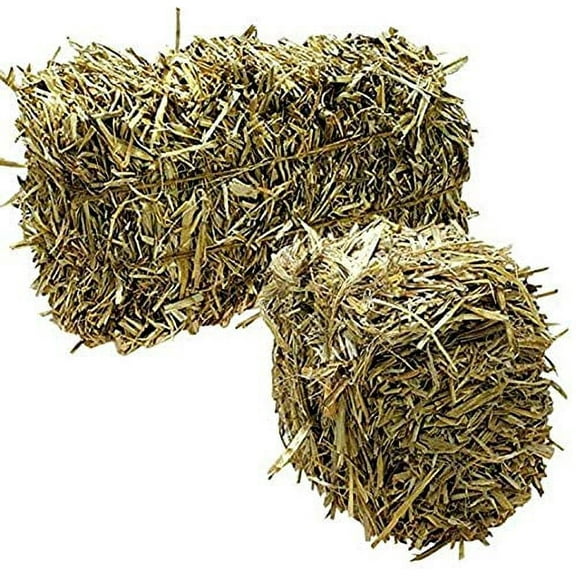 Green Vista Barley Straw Bales for Farm Pond Water Treatment - 12 to 15 Pounds - Treats 1/2 Acre Farm or Retention Pond for 6 Months! - Supports Water Balance - Safe for Koi, Fish and Plants
