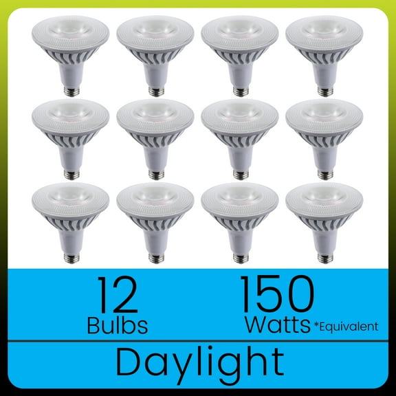 Green Watt 20 Watt (150 watt equiv) PAR38 LED Light Bulb, E26 Base, 1700 Lumen, Daylight White, 12-Pack