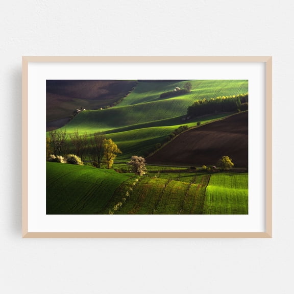 Between Green Waves - Brno-střed South Moravian Region Czechia Photography Landscape Countryside Scenic Pastoral Rural Nature Farm Oak Framed Wall Art Print 20 x 30 inches