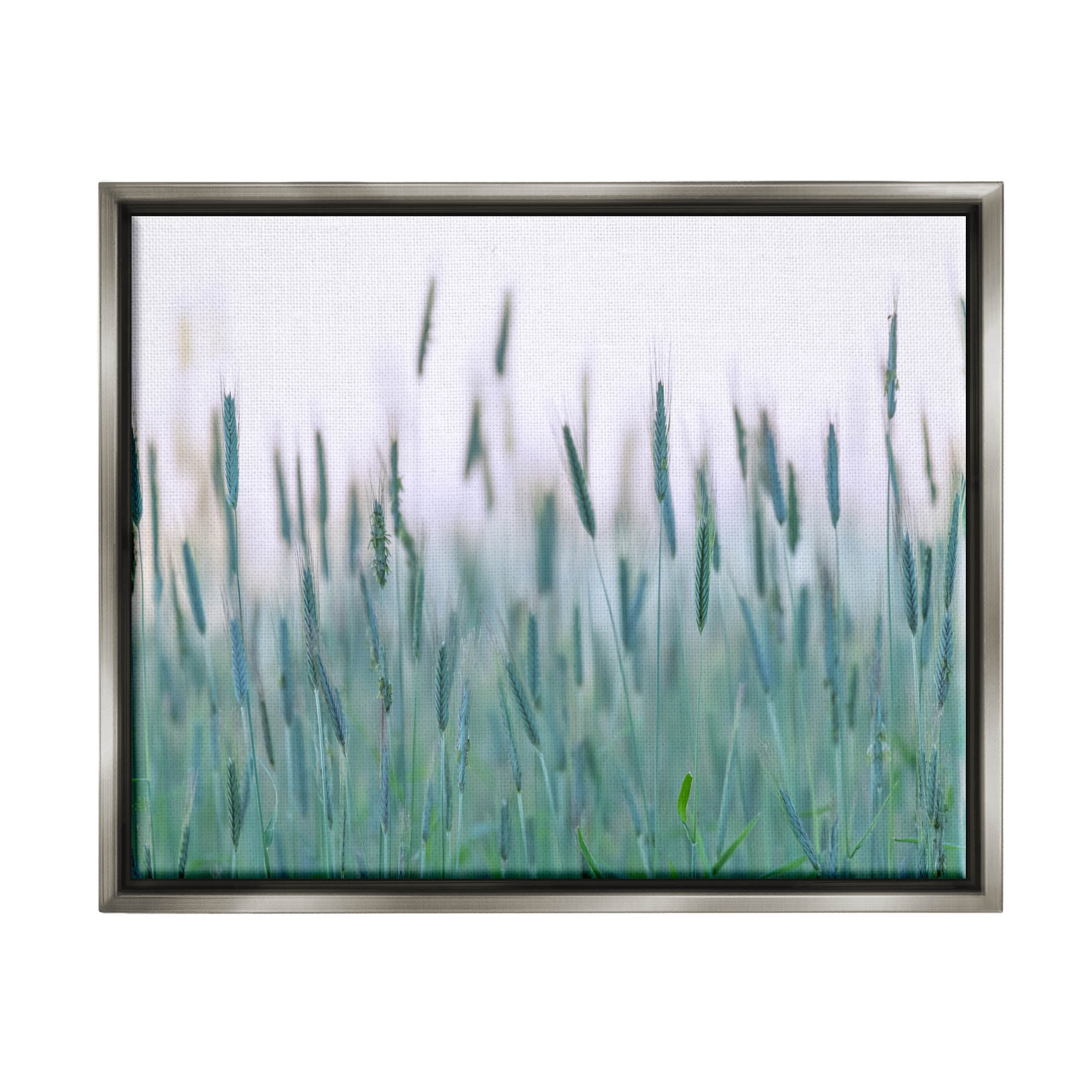 Green Wheat Field Sprigs Landscape Photograph Luster Gray Framed Art Print Wall Art