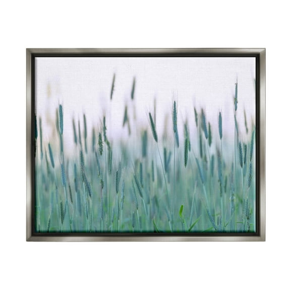 Green Wheat Field Sprigs Landscape Photograph Luster Gray Framed Art Print Wall Art