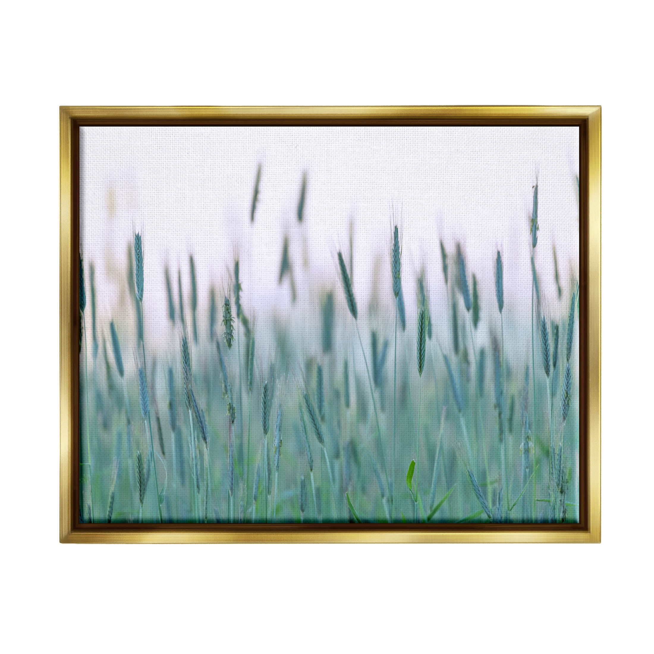 Green Wheat Field Sprigs Landscape Photograph Metallic Gold Framed Art Print Wall Art