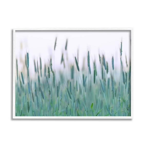 Green Wheat Field Sprigs Landscape Photograph White Framed Art Print Wall Art