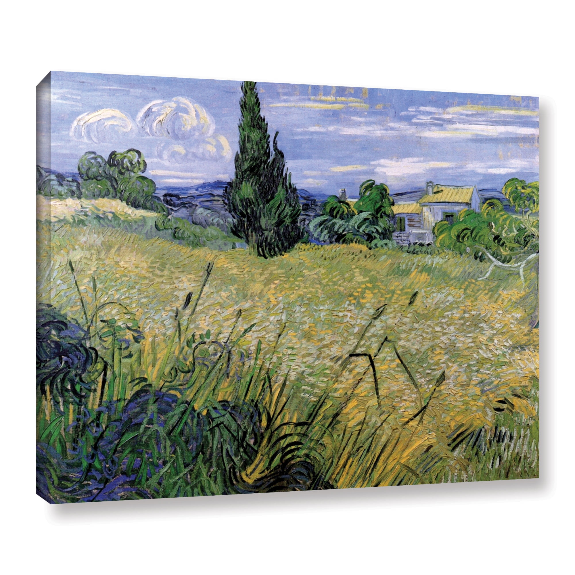 Green Wheat Field with Cypress Gallery Wrapped Canvas