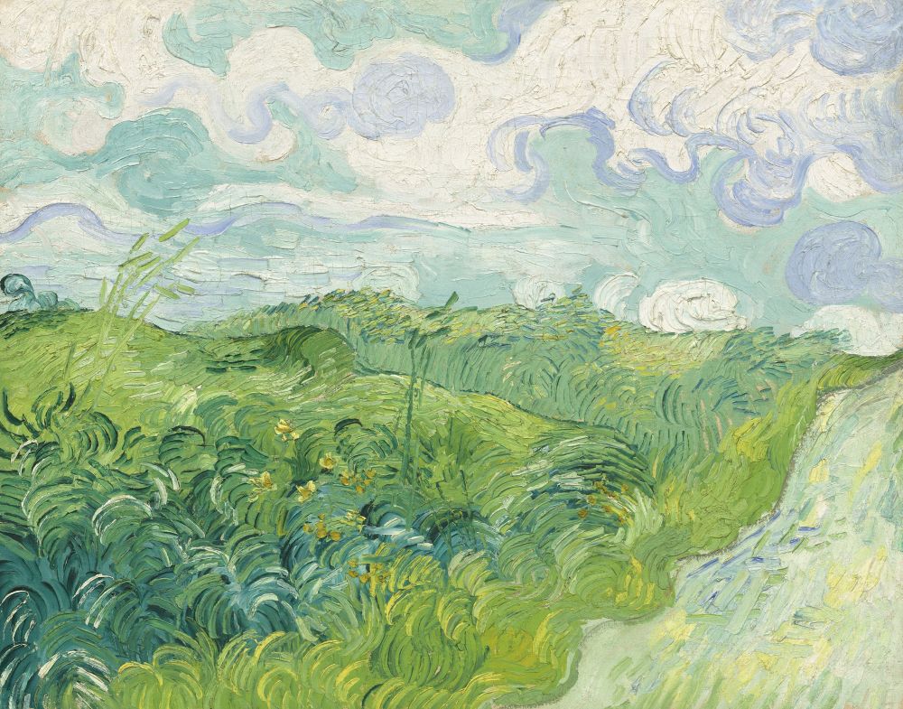 Green Wheat Fields Canvas Art - (24 x 18)