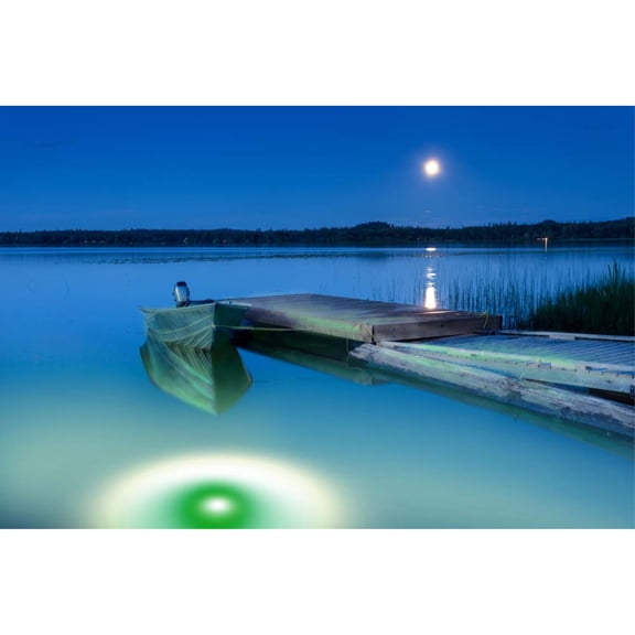 Green/White Apollo Iris Underwater LED Lighting System (120 foot power cord)