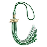Endea Graduation Green/White Mixed Color Graduation Tassel with Gold Date Drop