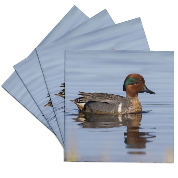 3drose, Green-winged Teal Drake, Set of 4 Ceramic Tile Coasters
