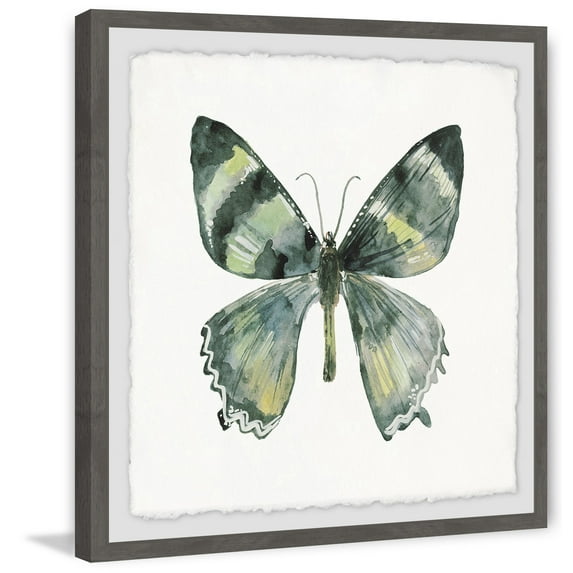 Green Wings Framed Painting Print