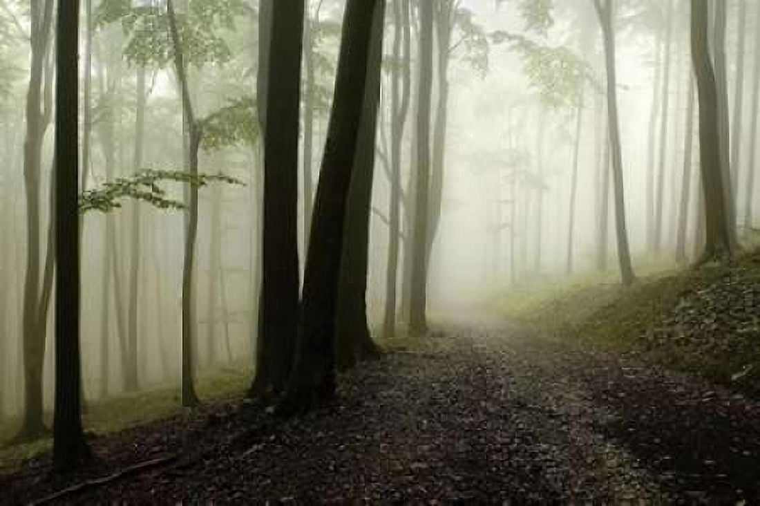 Green Woods 1 Canvas Art - PhotoINC Studio (12 x 18)
