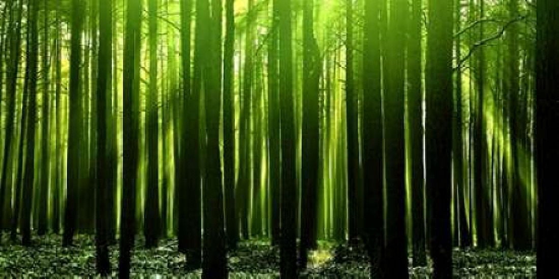 Green Woods 3 Canvas Art - PhotoINC Studio (10 x 20)
