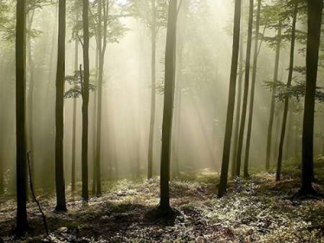 Green Works Canvas Art - PhotoINC Studio (18 x 24)