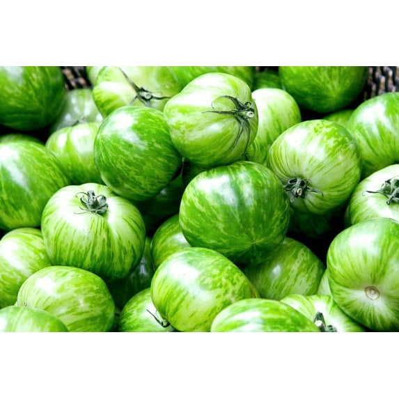 Green Zebra Tomato Seeds - 50+ Seeds, Made in USA - Stunning Color