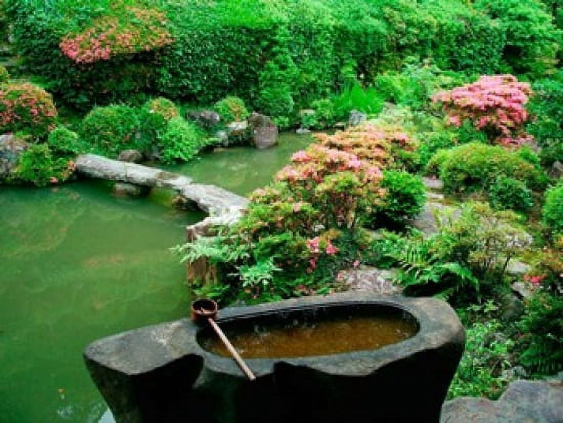 Green Zen Garden Kyoto Japan Canvas Art - Shin Terada DanitaDelimont (21 x 16)