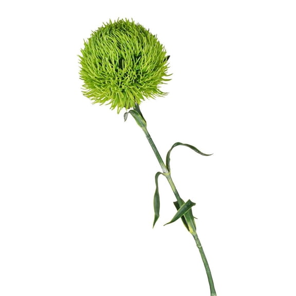 Green carnation artificial flower soft rubber flower decoration ornaments