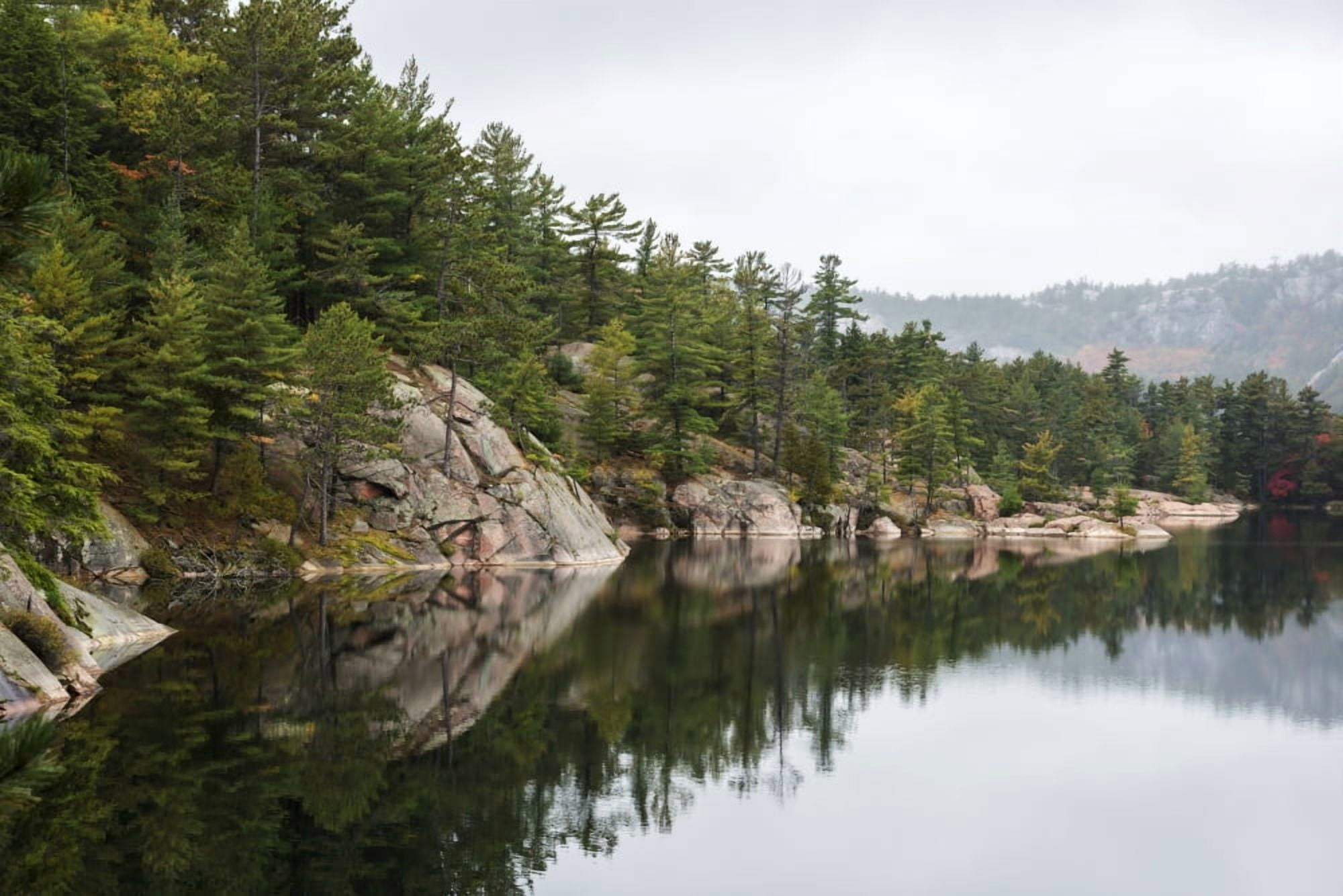Green coniferous forest on a tranquil lake shore with red rock geological formations Killarney Ontario Canada Canvas Art - Sergey Orlov Design Pics (17 x 11)