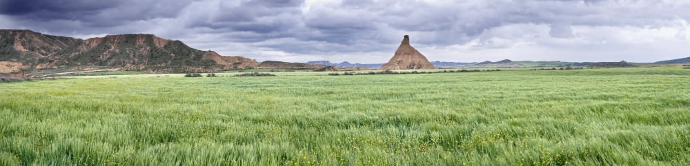 Green grass growing in Bardenas Reales Navarra Spain Canvas Art - Panoramic Images (27 x 9)