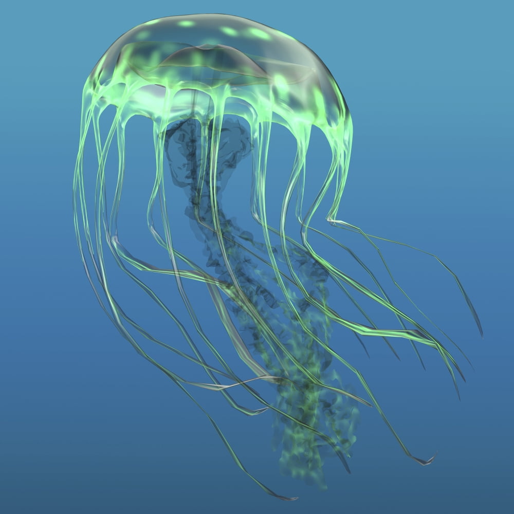 Green jellyfish illustration Canvas Art - Corey FordStocktrek Images (28 x 28)
