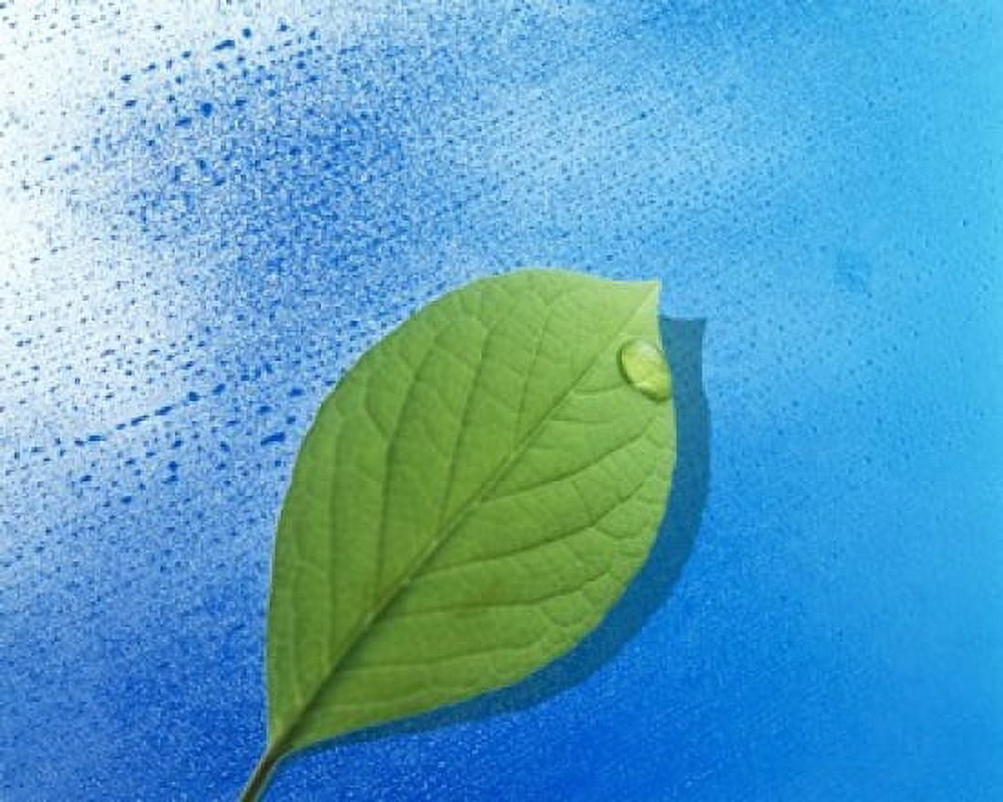 Green leaf floating above streaked water drops Canvas Art - Panoramic Images (16 x 13)
