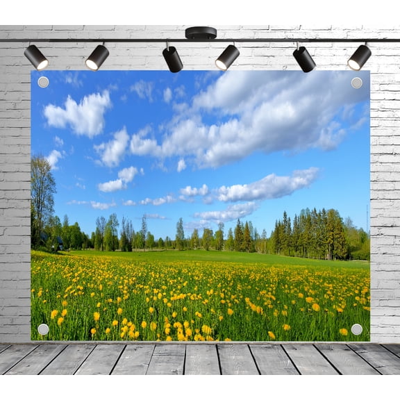 Green meadow winding path backdrop | Polyester fabric banner curtain, suitable for themed parties, outings, picnics, celebrations and studio props