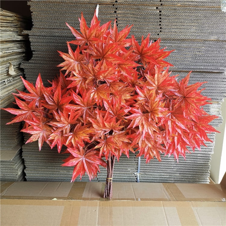 Green plant Big Tree plane branch Orange Leaf Maple Leaf French Banyan