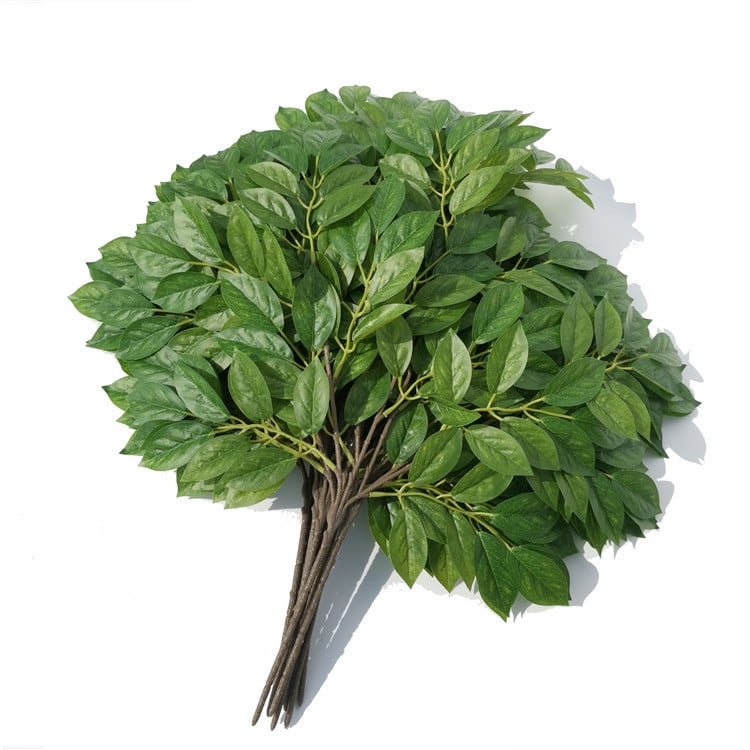 Green plant Big Tree plane branch Orange Leaf Maple Leaf French Banyan