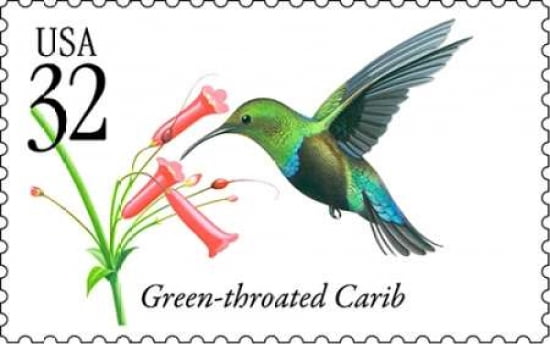 Green-throated Carib Canvas Art - US POSTAL SERVICE (24 x 36)