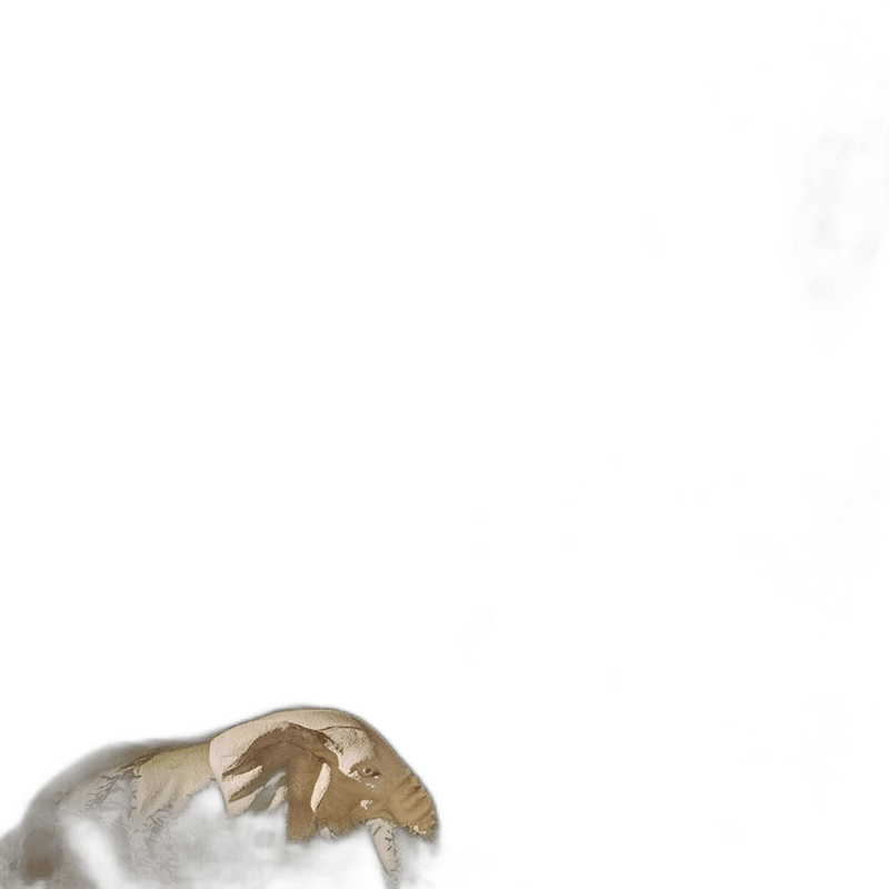 Green wedding simulation flower material red palm forest mint green