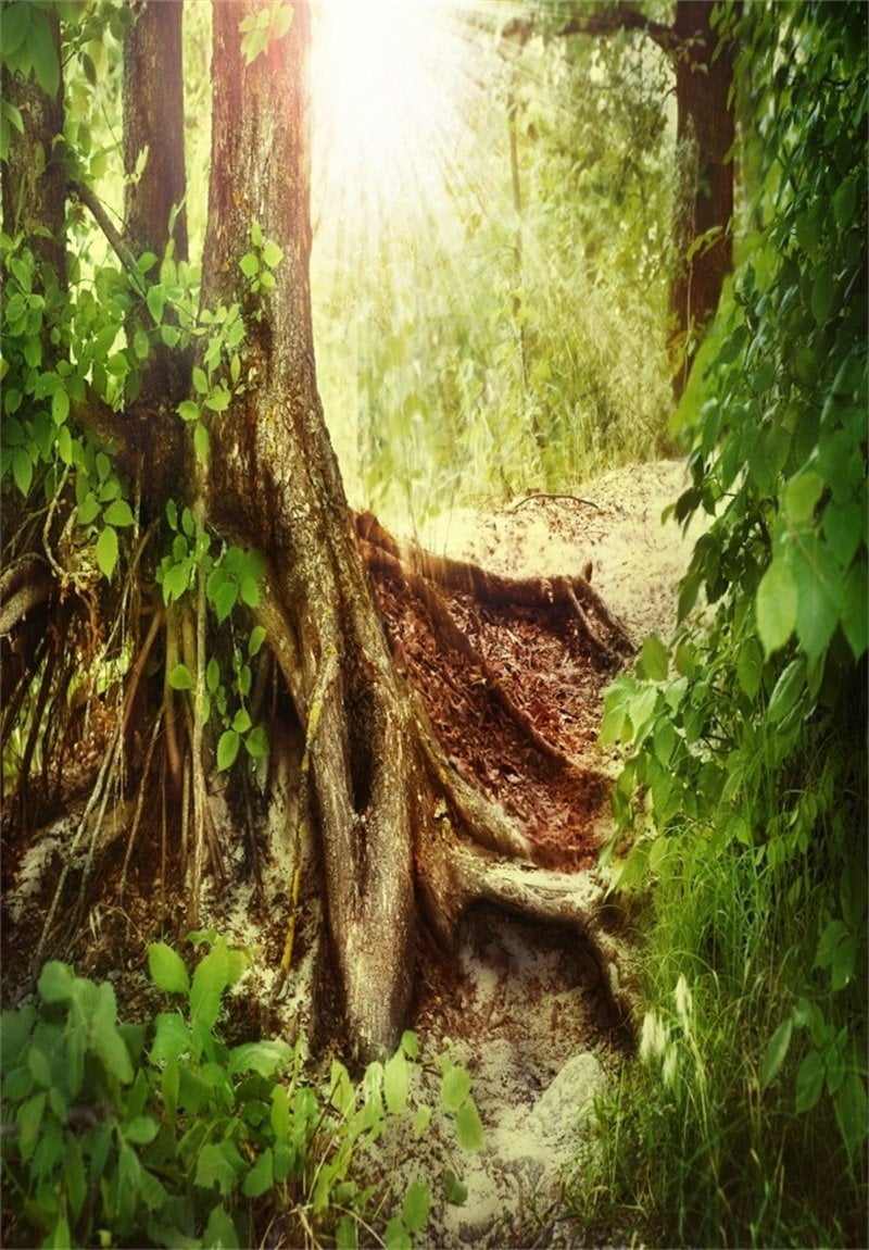 GreenDecor 5x7ft Artistic Photography Studio Background Girl Photo ...