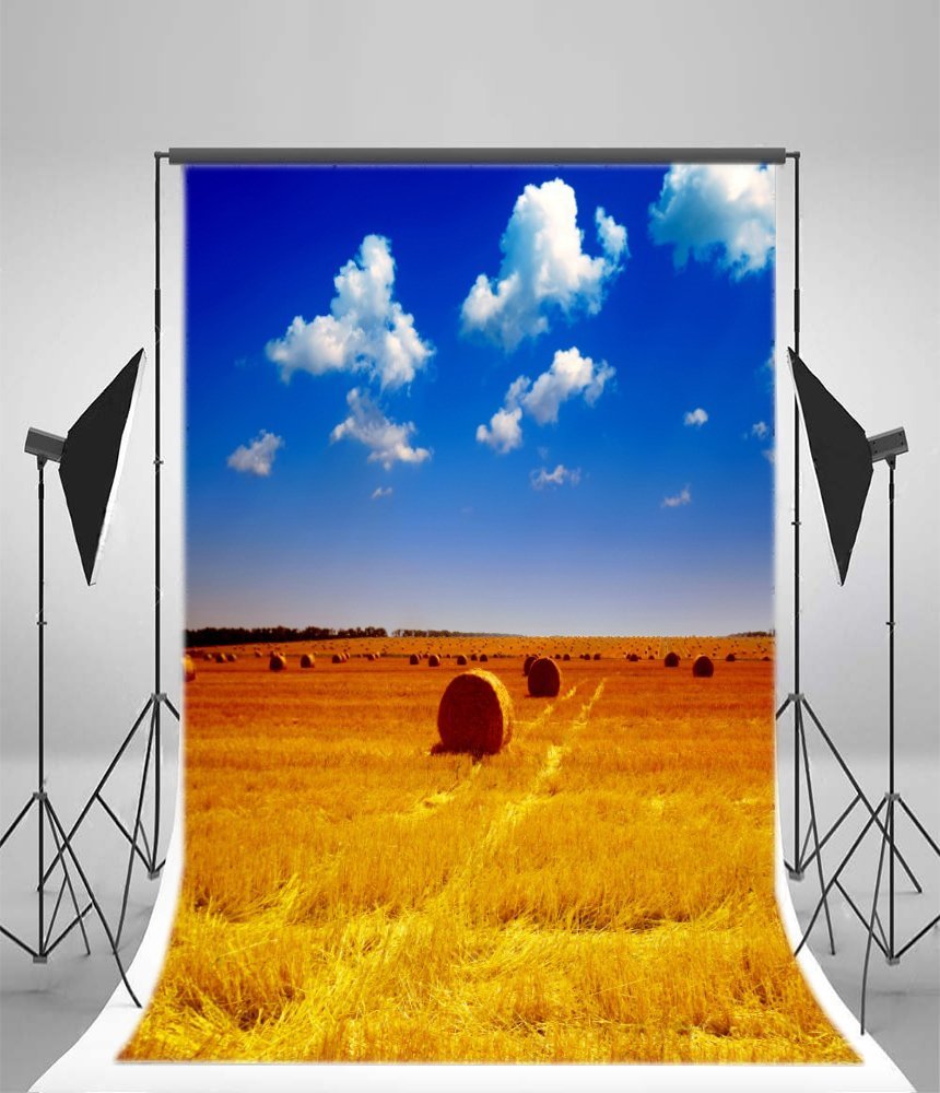 GreenDecor 5x7ft Backdrop Photography Background Rural Farm Haystacks ...