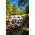 thumbnail image 1 of GreenDecor 5x7ft Cascade Backdrops Natural Scenic Photography Studio Props Waterfall Background Stream Adventure Outdoor Forest Tree Digital Photo Sho, 1 of 4