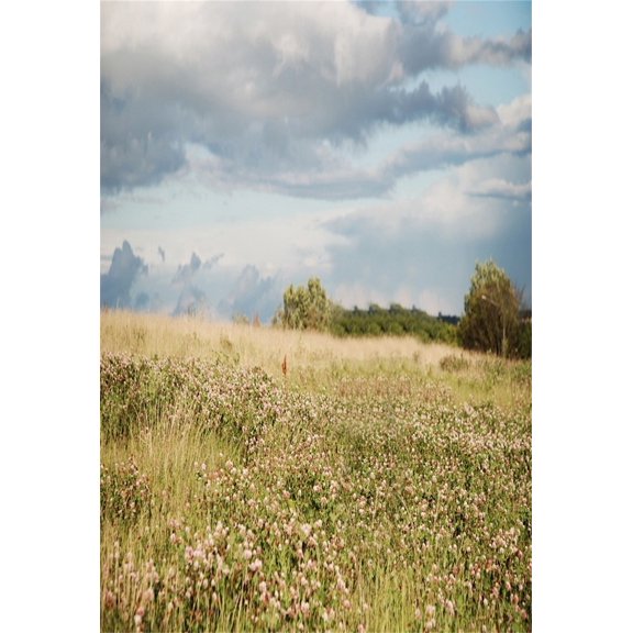 GreenDecor 5x7ft Girl Photography Studio Backdrops Toddler Photo Shoot Background Wild Florets Grass Fields Sky Clouds Natural View Children Kid Boy A