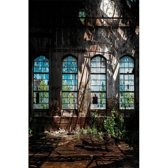 GreenDecor 5x7ft Photography Studio Backdrops Girl Toddler Photo Shoot Background Shabby Wall Obsolete Window Abandoned Building Roof Reflection Artis