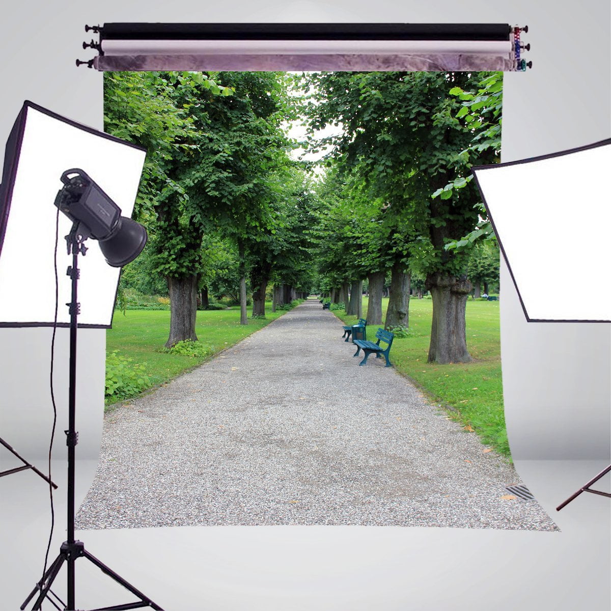 GreenDecor 5x7ft Tree-lined Trail Photo Background Photography Backdrop ...