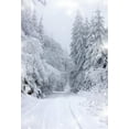 thumbnail image 1 of GreenDecor 5x7ft Winter Scenic Backdrop Snow Tree Photography Background Christmas Snowfield Adult Kid Girl Boy Man Artistic Portrait Nature Photo Shoot Studio Props Video Drop Drape, 1 of 4