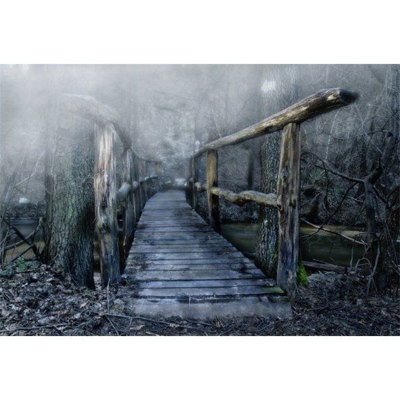 GreenDecor 7x5ft Ancient Log Bridge Backdrops Spooky Forest Photo Shoot Background Vintage Gothic Rustic Gloomy Woods Scary Scene Photography Studio P