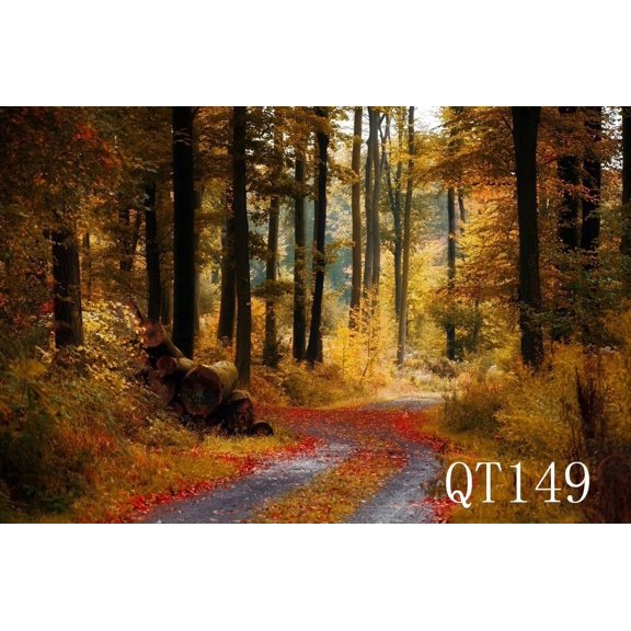 GreenDecor 7x5ft Autumn Forest Scenery Photo Backdrop Fall Photography Backdrop Background Studio Props