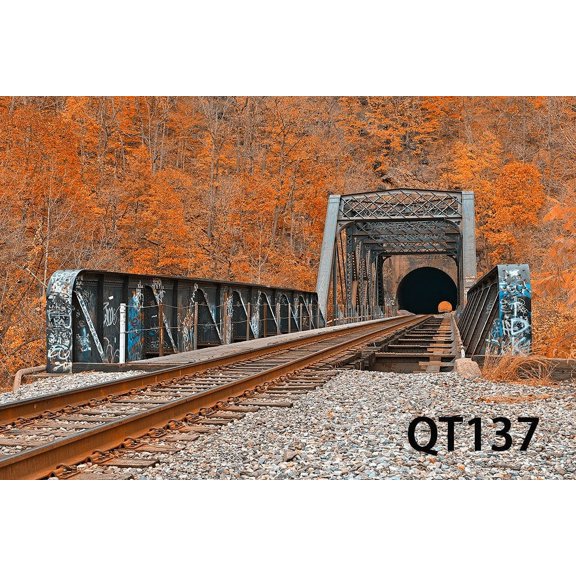 GreenDecor 7x5ft Full of Autumn Colors Fall Photography Backdrops Studio Background Photo Backdrops Studio Props