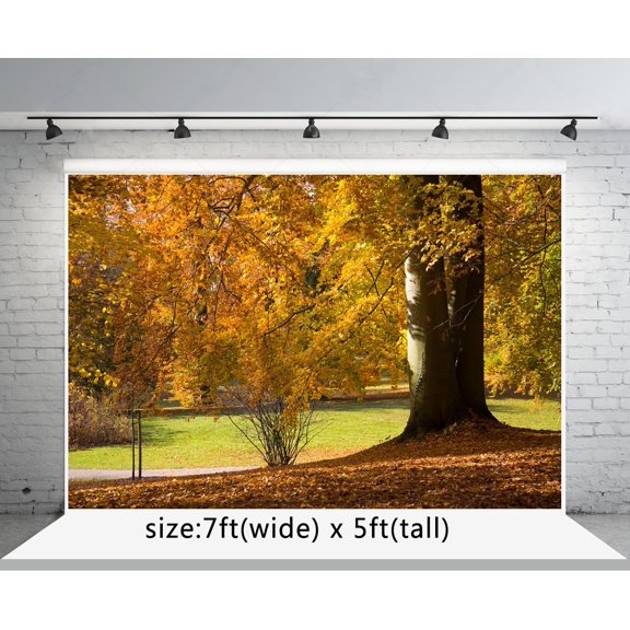 GreenDecor 7x5ft Nature Scenery Photo Backgrounds Fall Maple Tree Leaves Photography Backdrops