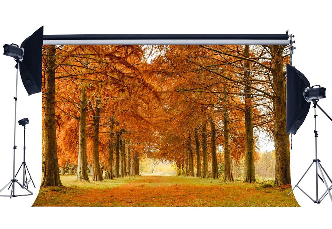 GreenDecor 7x5ft Photography Backdrop Autumn Golden Leaves Rural Forest ...