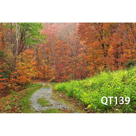 GreenDecor 7x5ft Red Leaves Filled with Trees Fall Photography Backdrops Studio Background Photo Backdrops Studio Props