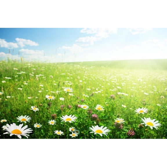 GreenDecor 7x5ft Sunflowers Blue Sky Clouds Photography Indoor Backdrop Prop Photo Background