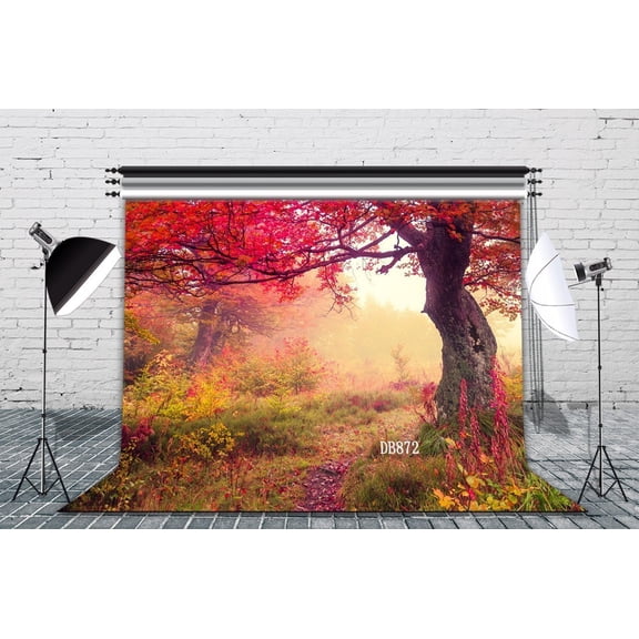 GreenDecor 7x5ft The Redwood Sap Autumn Scenery Fall Photography Backdrops Studio Background Photo Backdrops Studio Props