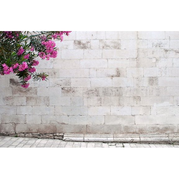 GreenDecor 7x5ft Valentine's Day Lovers Photography Backdrop Prop Photo Background