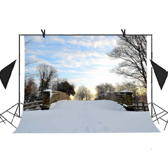 GreenDecor 7x5ft Winter Snow Landscape Backdrop Snow Arch Bridge Woods Blue Sky Picture Studio Props Party Photography Video Curtain Background