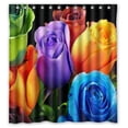 thumbnail image 1 of GreenDecor Anhome Green Blue Red Orange Purple Rose Beautiful Colorful Waterproof Shower Curtain Set with Hooks Bathroom Accessories Size 60x72 inches, 1 of 2