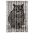 thumbnail image 1 of GreenDecor Animal Pet Grey Cute Cat Waterproof Shower Curtain Set with Hooks Bathroom Accessories Size 48x72 inches, 1 of 2