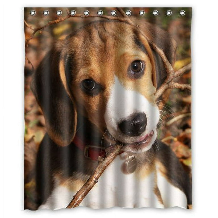 Beagle accessories clearance