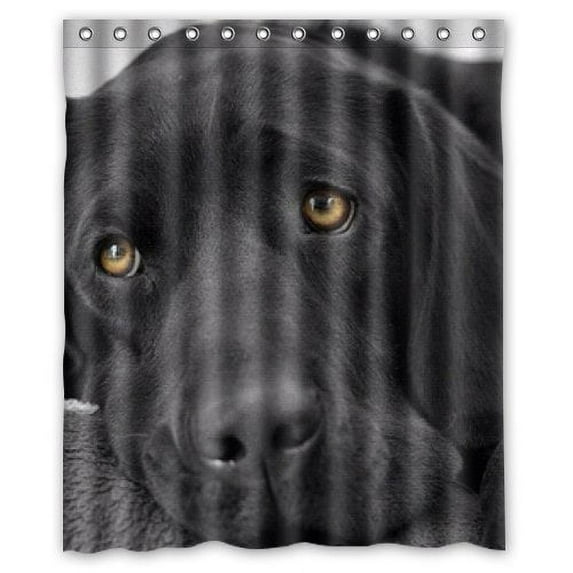 GreenDecor Black Lab Labrador Retriever Funny Waterproof Shower Curtain Set with Hooks Bathroom Accessories Size 60x72 inches