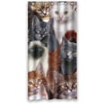 thumbnail image 1 of GreenDecor Cat Waterproof Shower Curtain Set with Hooks Bathroom Accessories Size 36x72 inches, 1 of 2